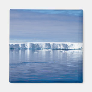 Floating iceberg magnet