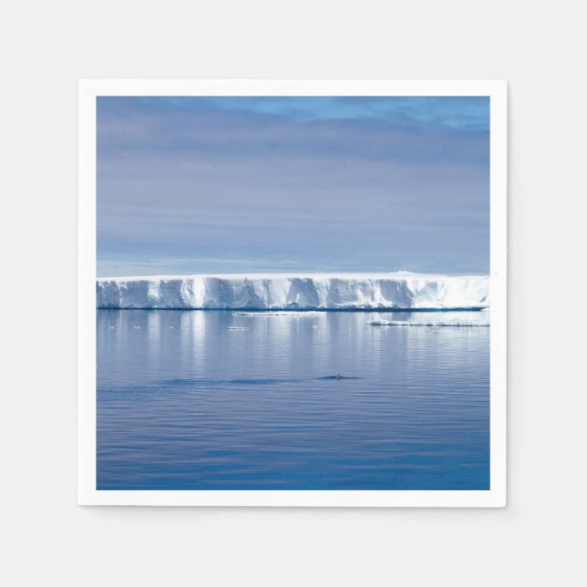 Floating iceberg napkins (Front)