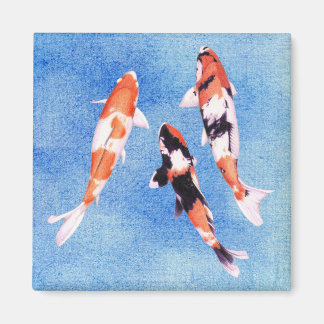 Floating Koi blue Magnet