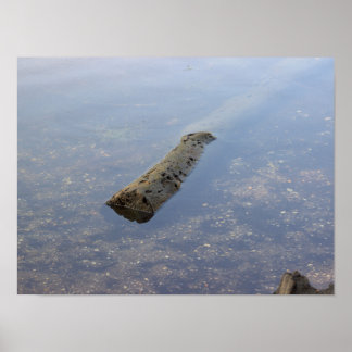 Floating Log Photo Poster