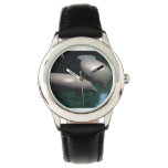 Floating Manatees Watch