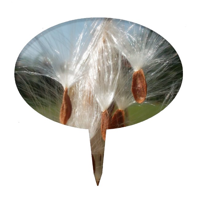 Floating Milkweed Seeds Art Print/Graphic Cake Topper (Front)