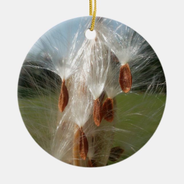 Floating Milkweed Seeds Art Print/Graphic Ceramic Ornament (Front)