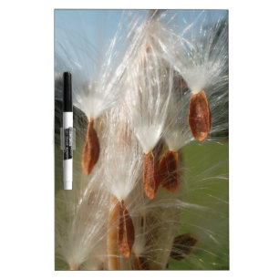 Floating Milkweed Seeds Art Print/Graphic Dry-Erase Board