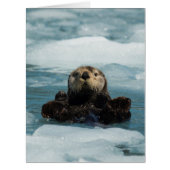 Floating Otter (Front)