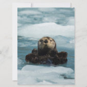 Floating Otter (Front)