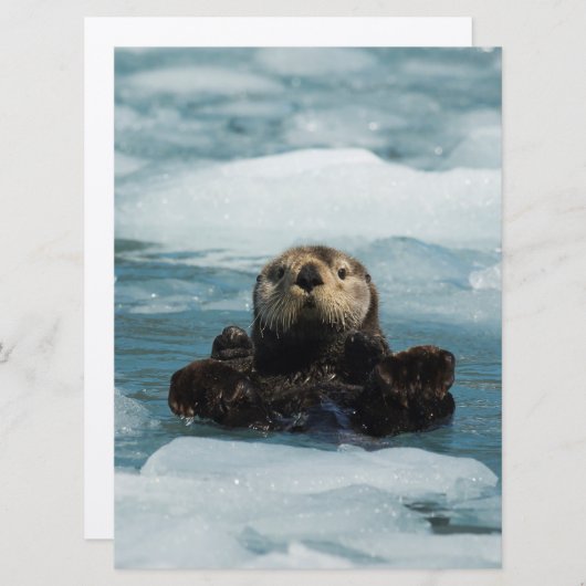 Floating Otter (Front/Back)