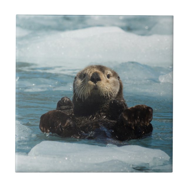 Floating Otter Ceramic Tile (Front)