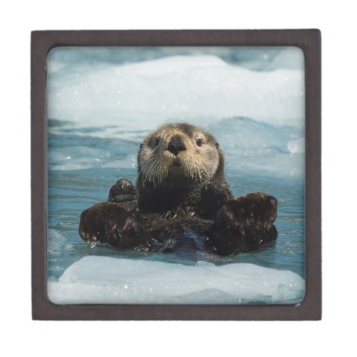 Floating Otter Gift Box