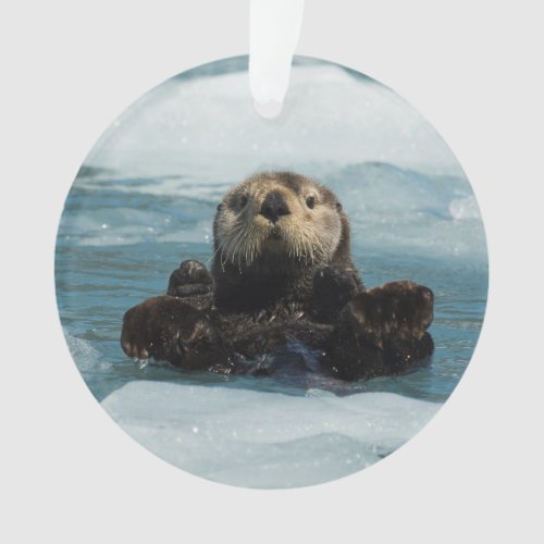 Floating Otter Ornament