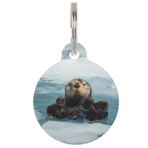 Floating Otter Pet ID Tag