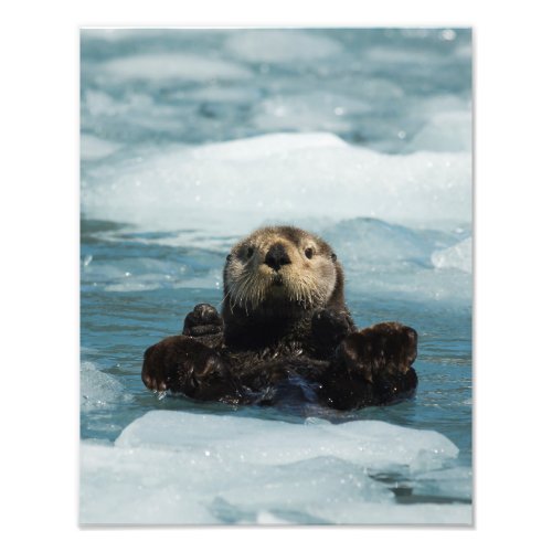 Floating Otter Photo Print