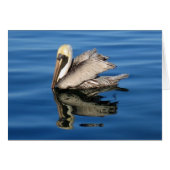 Floating Pelican (Front Horizontal)
