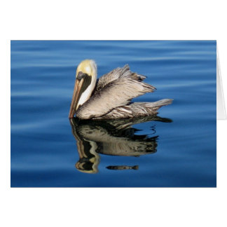 Floating Pelican