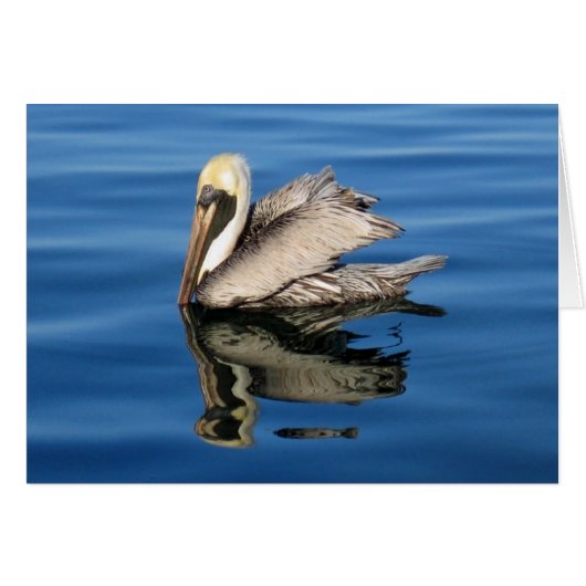 Floating Pelican (Front Horizontal)