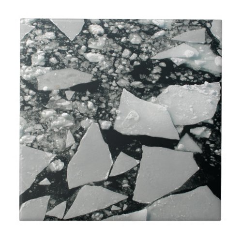 Floating Pieces of Broken Arctic Ice Tile
