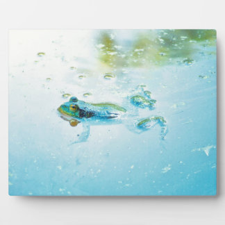 Floating Plaque