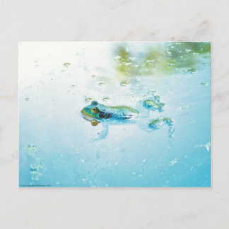 Floating Postcard