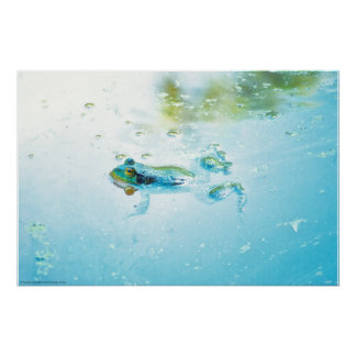 Floating Poster