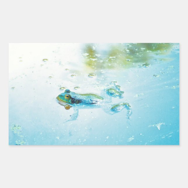 Floating Rectangular Sticker (Front)