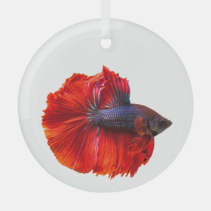 Floating Red Crown Tail Betta Fish  Glass Ornament