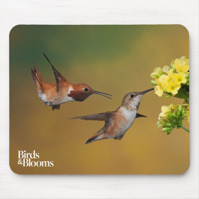 Floating Rufous Hummingbird Mouse Pad (Front)