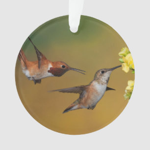 Floating Rufous Hummingbird Ornament
