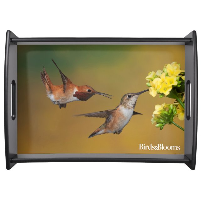 Floating Rufous Hummingbird Serving Tray (Front)