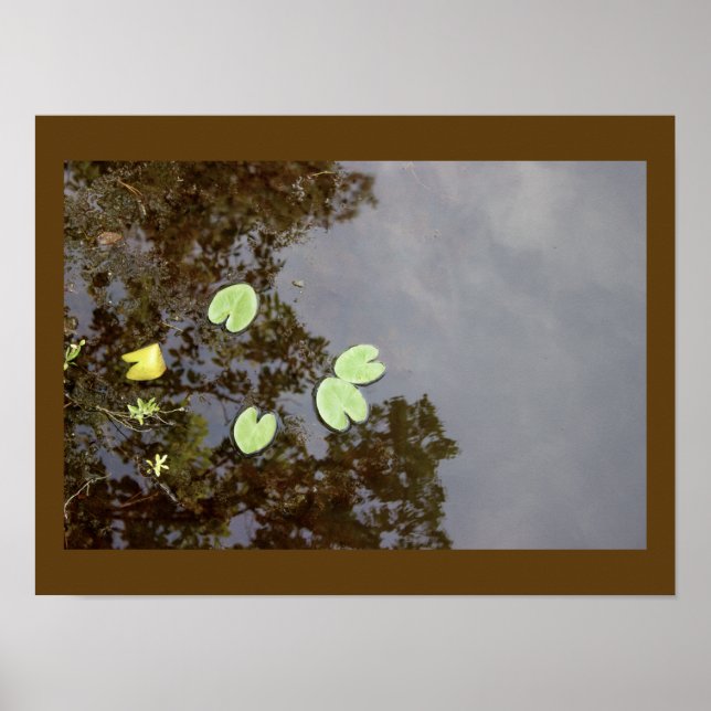 Floating Waterlilies Poster (Front)