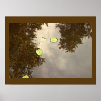 Floating Waterlilies Poster