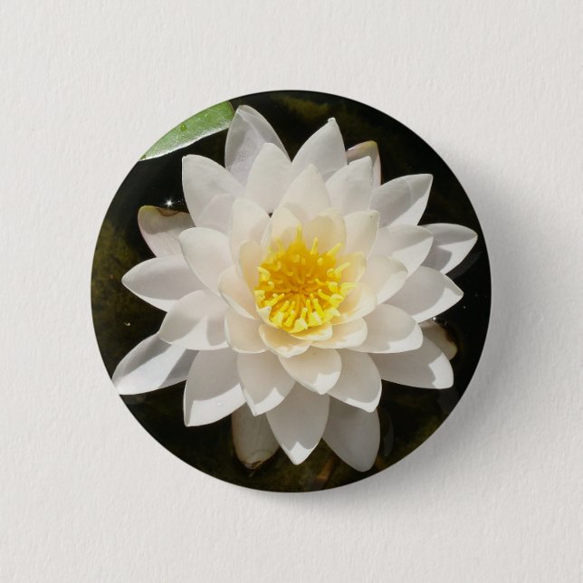Floating White Waterlily Lotus Button (Front)