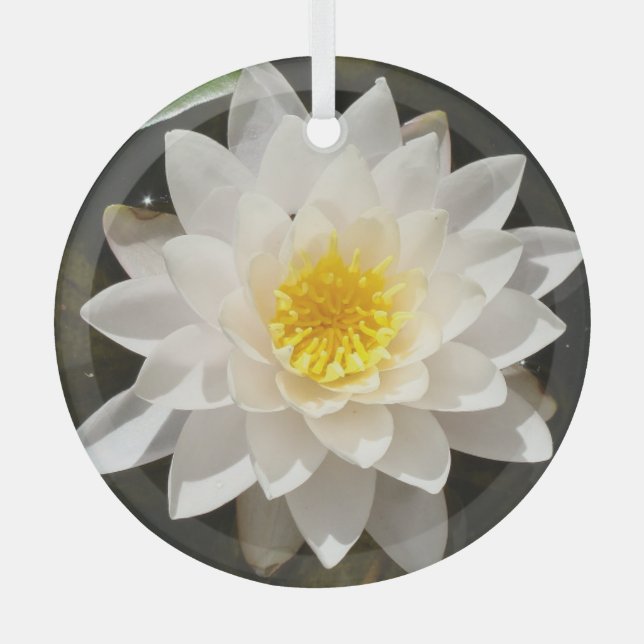 Floating White Waterlily Lotus  Glass Ornament (Front)