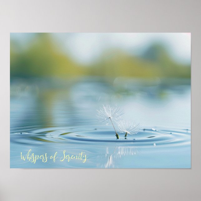 Floating Wishes: Dandelion Seeds on Water Poster (Front)
