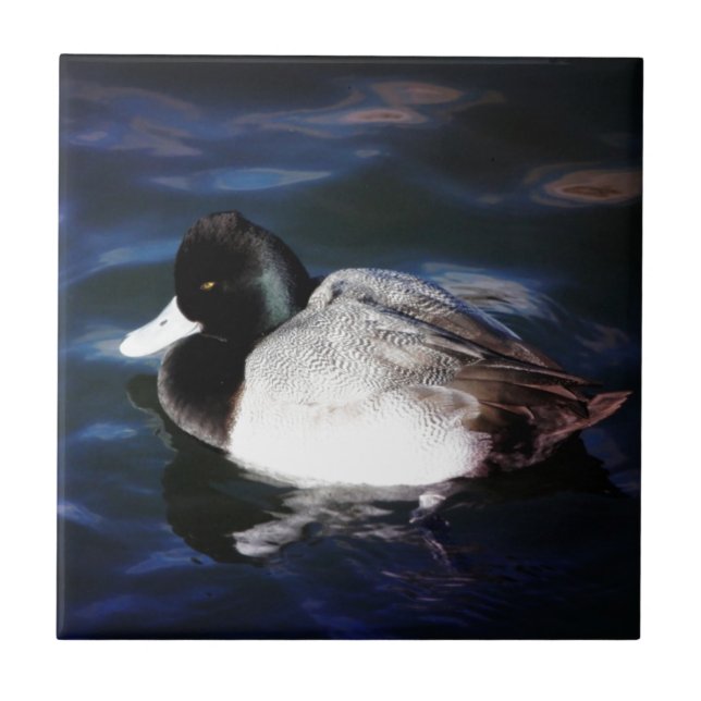 Floating With Sunshine Ceramic Tile (Front)