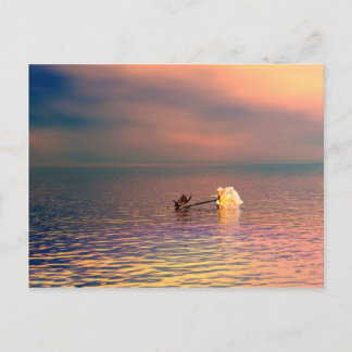 Floatng Rose Postcard