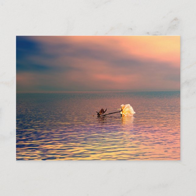 Floatng Rose Postcard (Front)