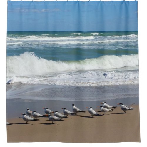 Flock of Beach Birds Shower Curtain