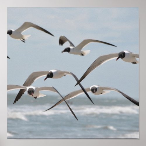 Flock of Beach Seagulls Flying near Ocean Poster
