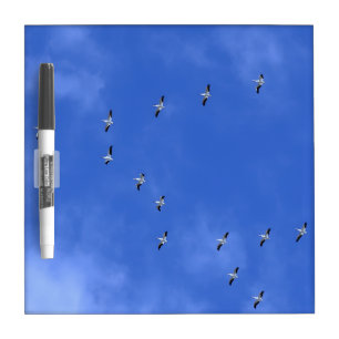 Flock of birds dry erase board