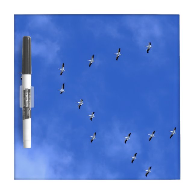 Flock of birds dry erase board (Front)