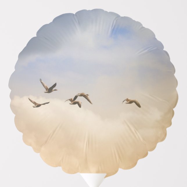Flock of Birds in Flight Balloon (Front)