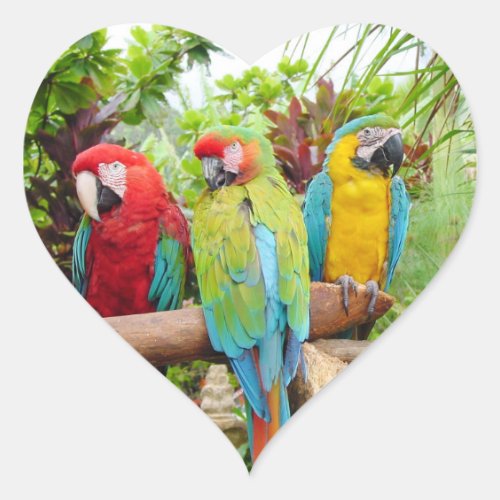 Flock of Colorful Macaw Parrots Heart Sticker