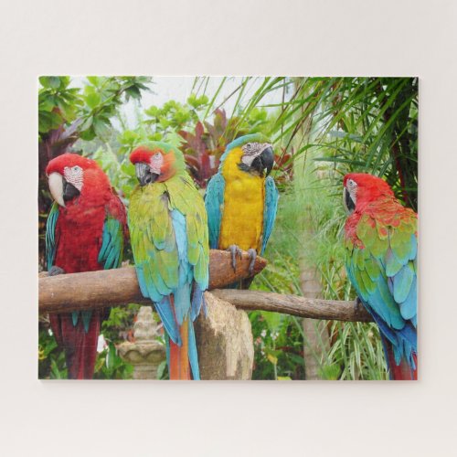 Flock of Colorful Macaw Parrots Jigsaw Puzzle