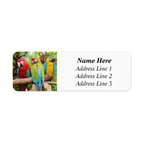 Flock of Colorful Macaw Parrots Return Address Label