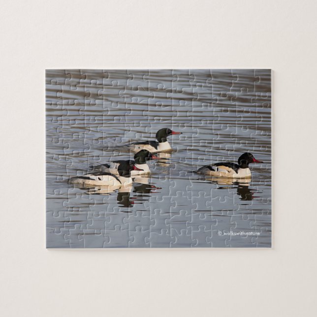 Flock of Common Merganser Ducks at the Slough Jigsaw Puzzle (Horizontal)