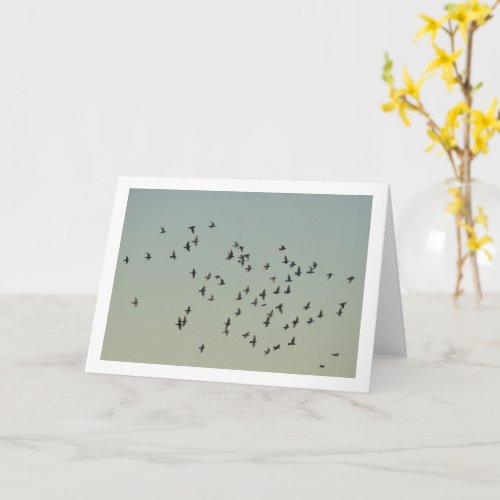 Flock of Doves Card