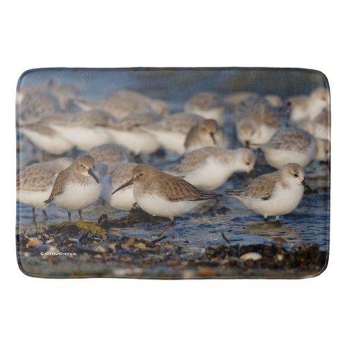 Flock of Dunlins and Sanderlings at the Beach Bath Mat