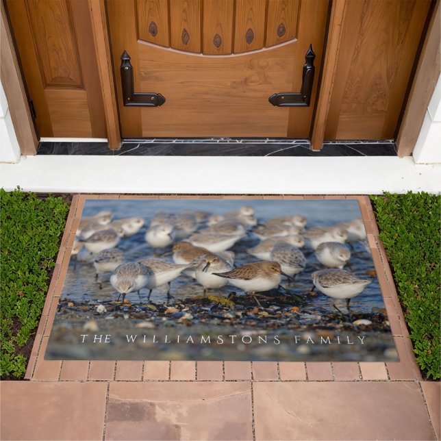 Flock of Dunlins and Sanderlings at the Beach Doormat (Outdoor)