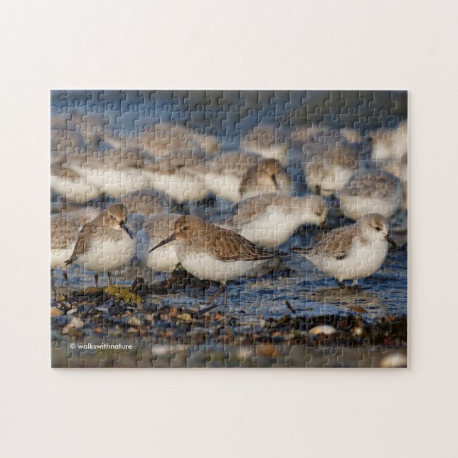 Flock of Dunlins and Sanderlings at the Beach Jigsaw Puzzle (Horizontal)