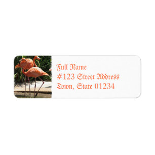 Flock of Flamingos Mailing Label